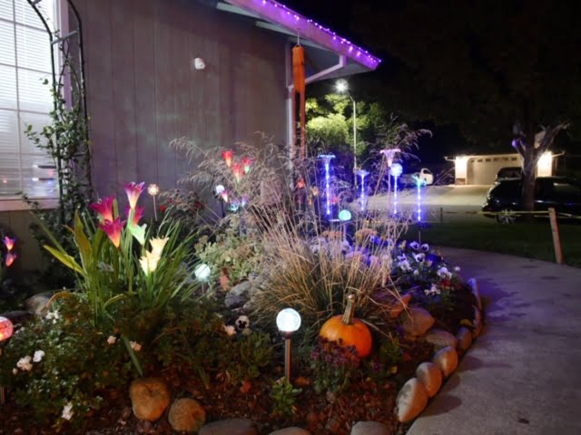 garden lights